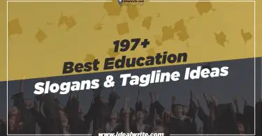 Catchy Education Slogans and Taglines Ideas