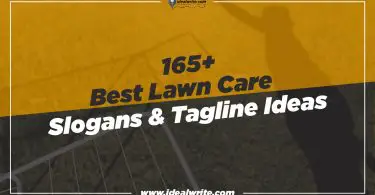 Catchy Lawn Care Slogans & Taglines Ideas
