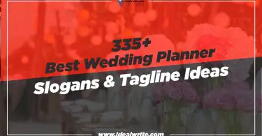 Catchy Wedding Planner Slogans & Taglines Ideas