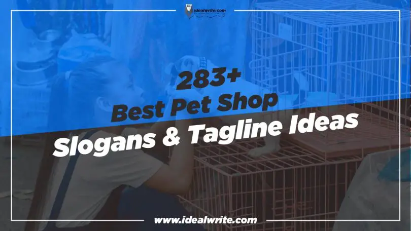 Creative Pet shop slogans & Taglines ideas