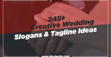 Attractive Wedding Slogans & Taglines ideas