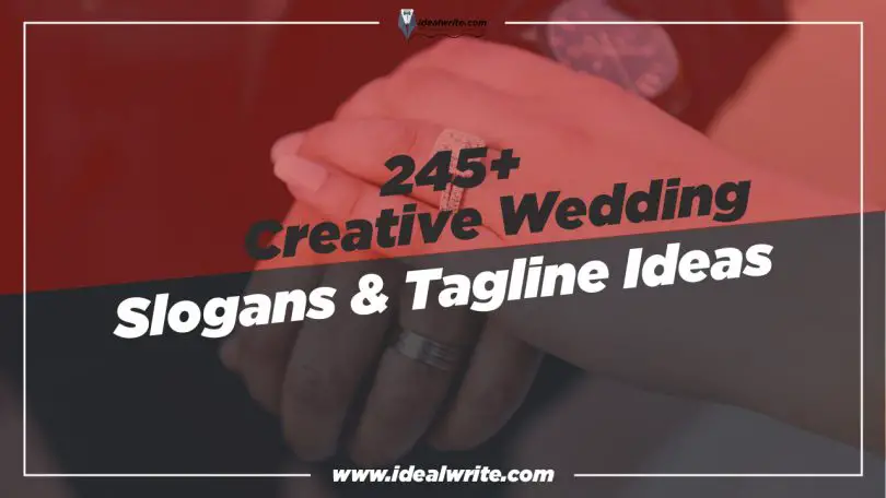 Attractive Wedding Slogans & Taglines ideas