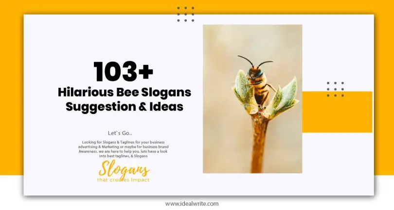 Hilarious Bee Slogans Suggestion & Ideas