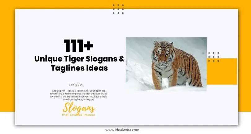 111+ Unique Tiger Slogans & Taglines Ideas - Idealwrite