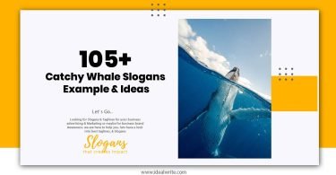 Whale Slogans Example & Ideas
